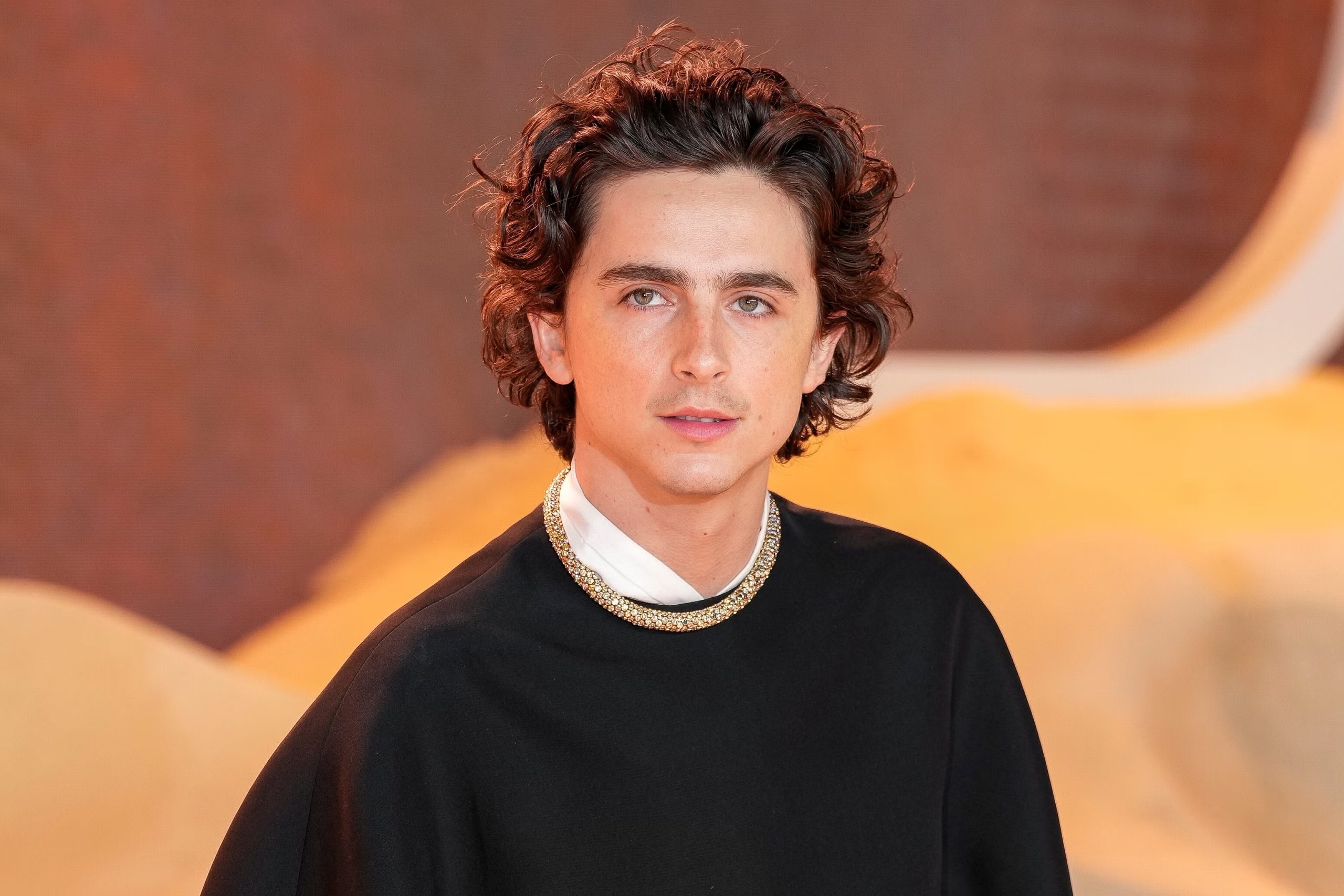 Timothée Chalamet